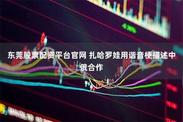 东莞股票配资平台官网 扎哈罗娃用谐音梗描述中俄合作