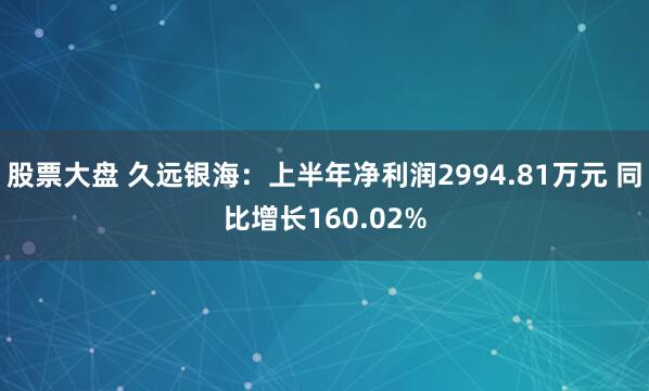 股票大盘 久远银海：上半年净利润2994.81万元 同比增长160.02%